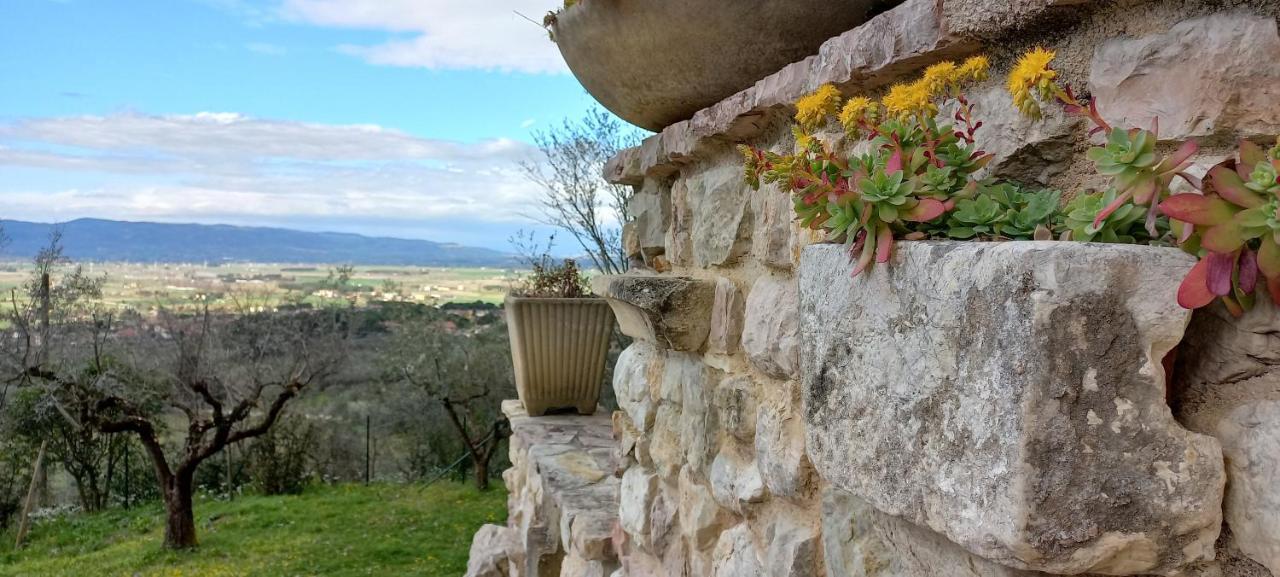 Domus Antiqua Bed & Breakfast Spello Zewnętrze zdjęcie