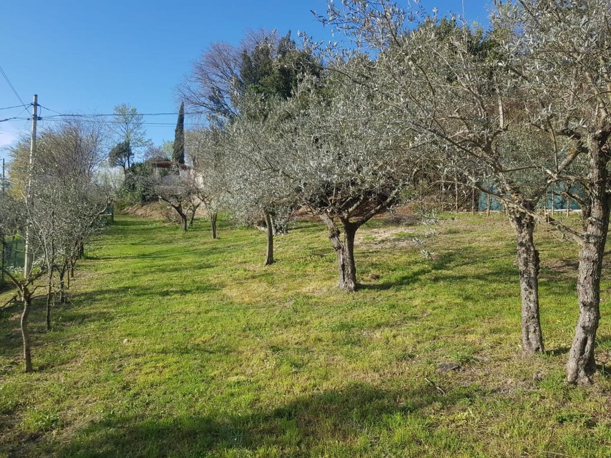 Domus Antiqua Bed & Breakfast Spello Zewnętrze zdjęcie