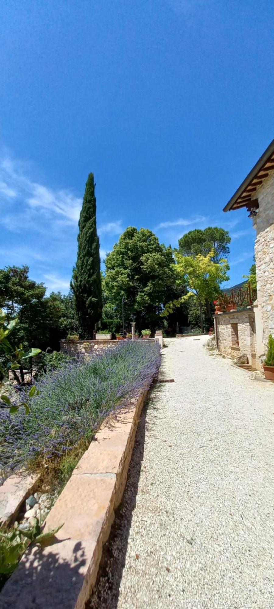 Domus Antiqua Bed & Breakfast Spello Zewnętrze zdjęcie
