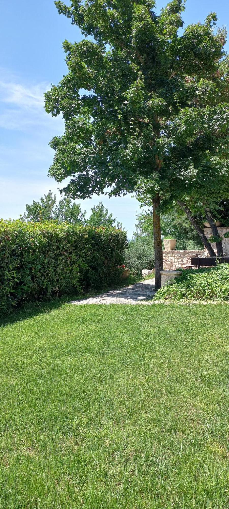 Domus Antiqua Bed & Breakfast Spello Zewnętrze zdjęcie